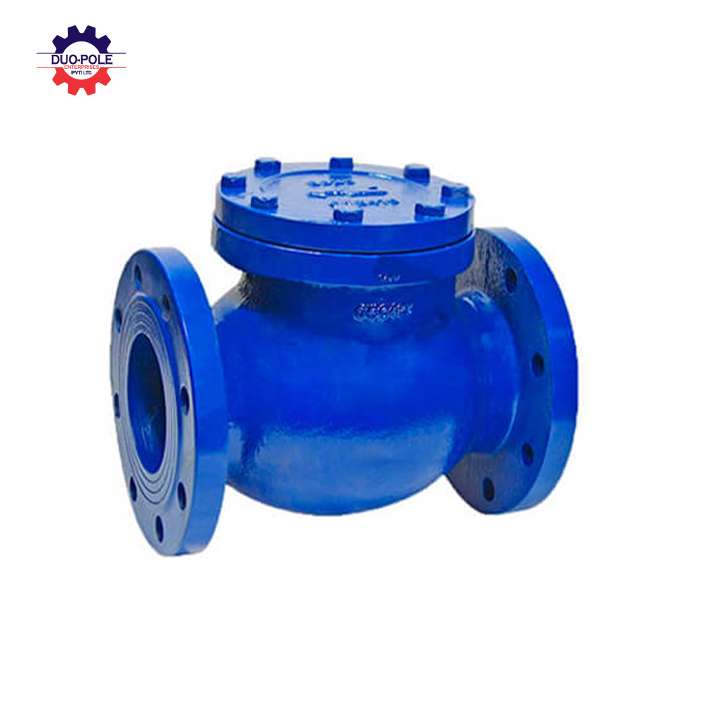 BS swing check valve