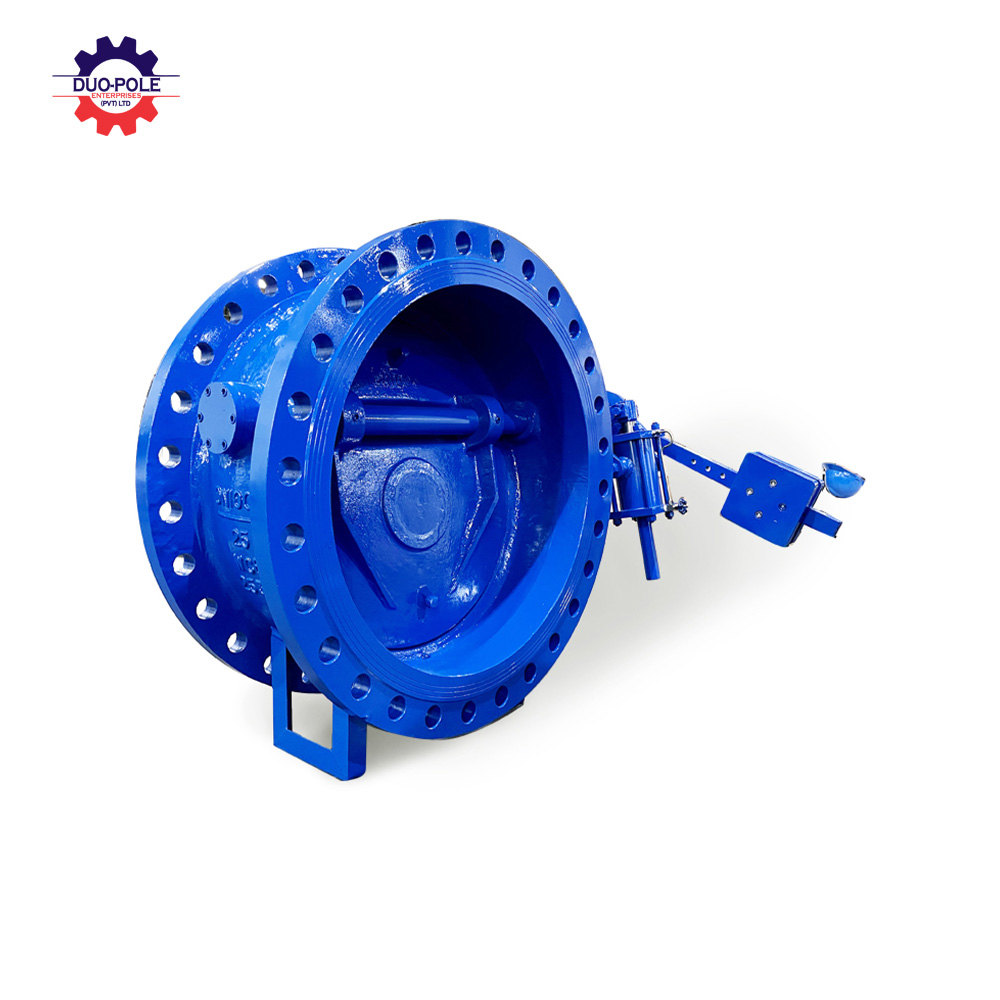 Butterfly buffer check valve