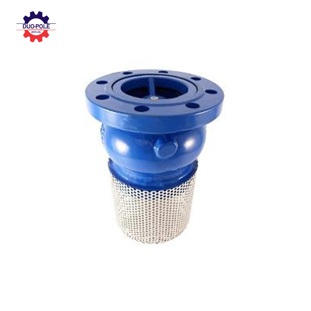 Foot check valve