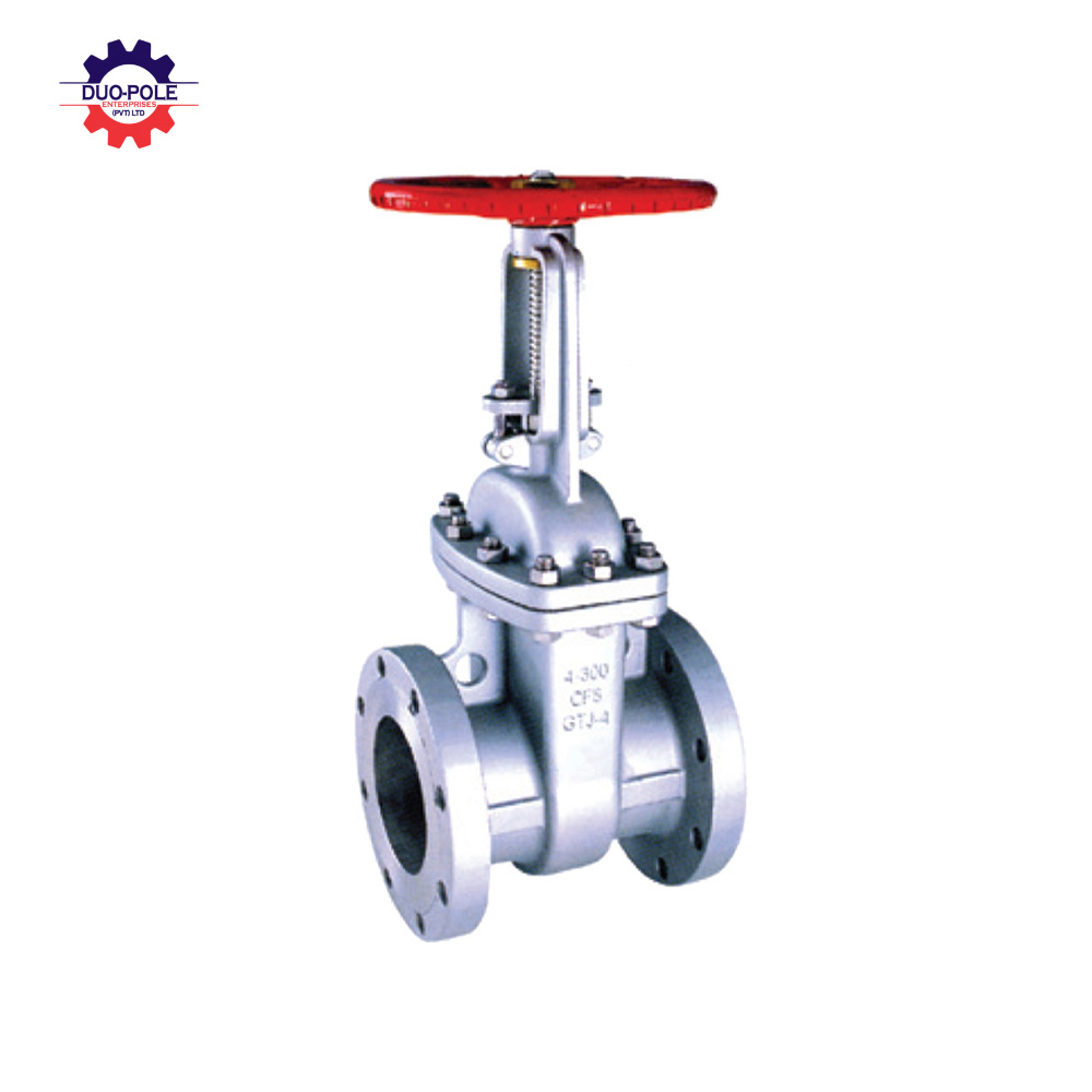 Stainless steel flange gate valve